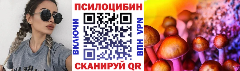 Галлюциногенные грибы прущие грибы  Киренск 